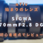 最初のレンズはSIGMA 28-70mmF2.8DG DN　使用感を初心者がレビュー